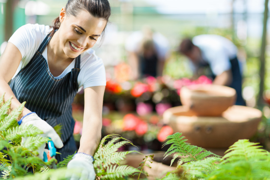 Female working on plants in greenhouse