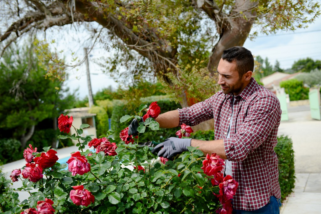 gardening