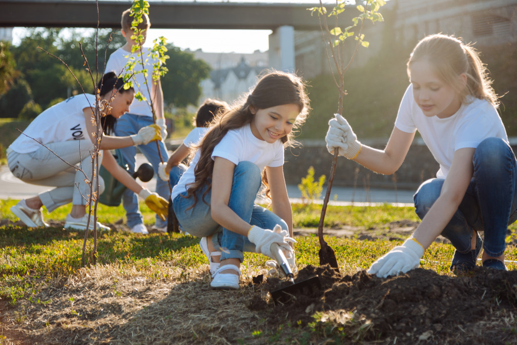 planting trees