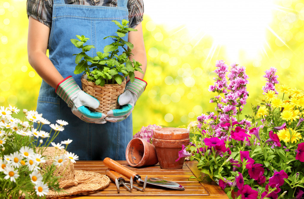 gardening materials and flowers in pots