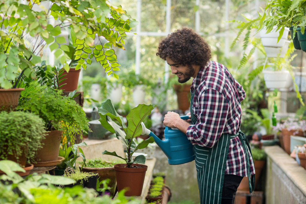 watering plants