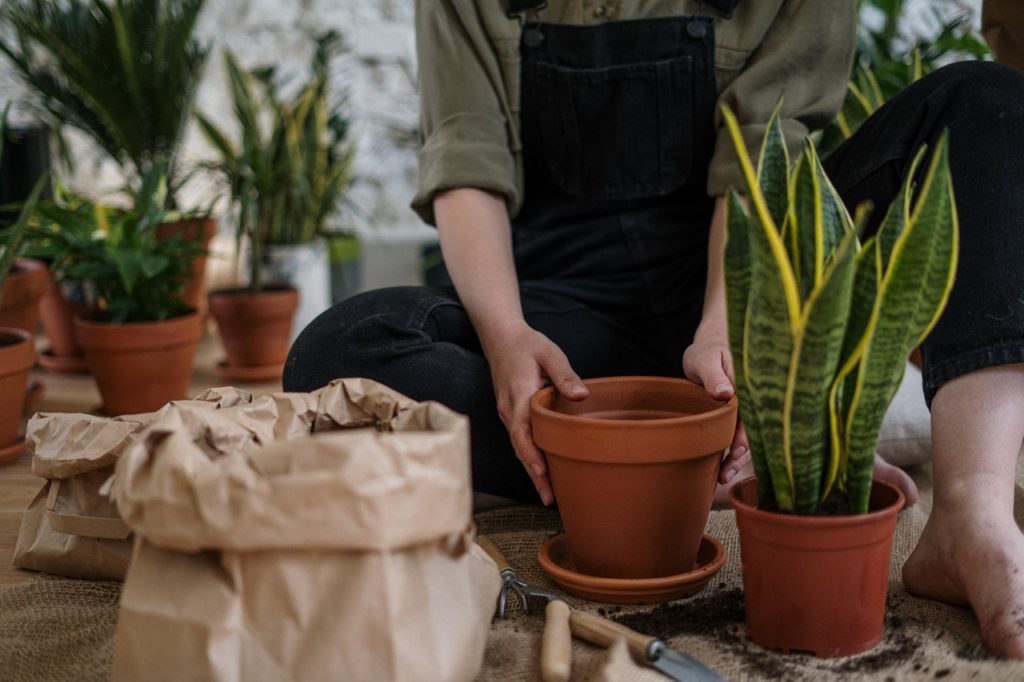 person gardening