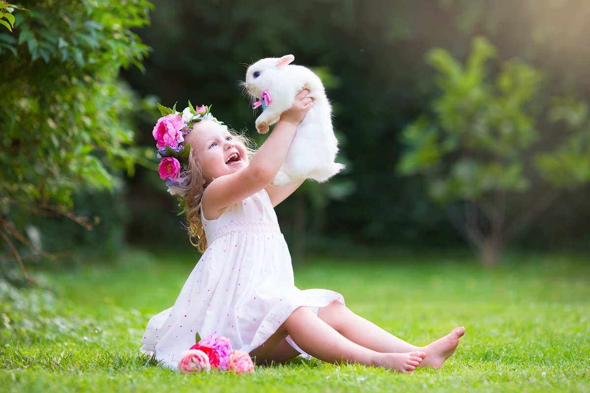 kid with rabbit