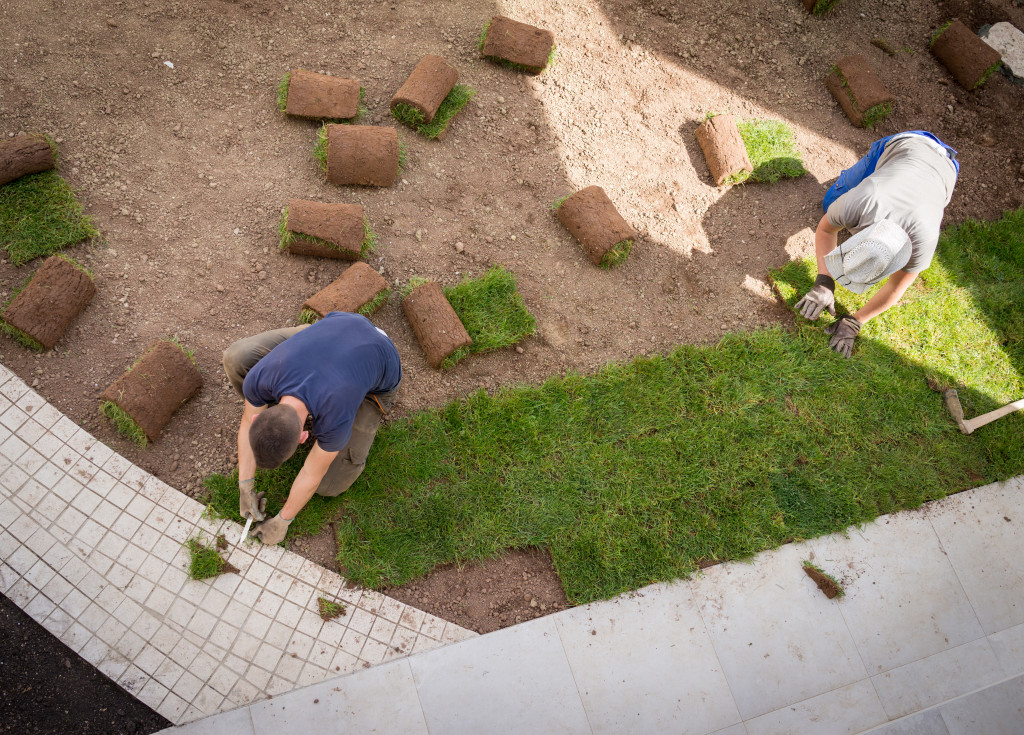 men installing natural grass