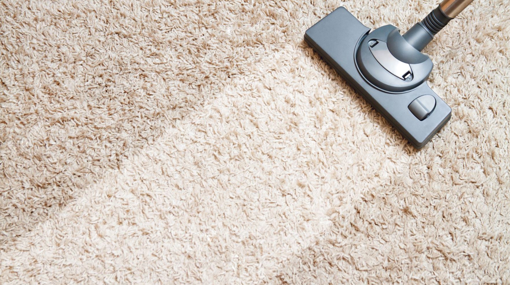 cleaning carpet for allergens