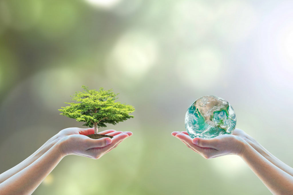 Two people human hands holding a big tree on soil and the planet