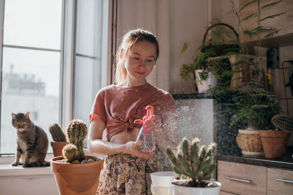 a young woman spraying water to an indoor plant