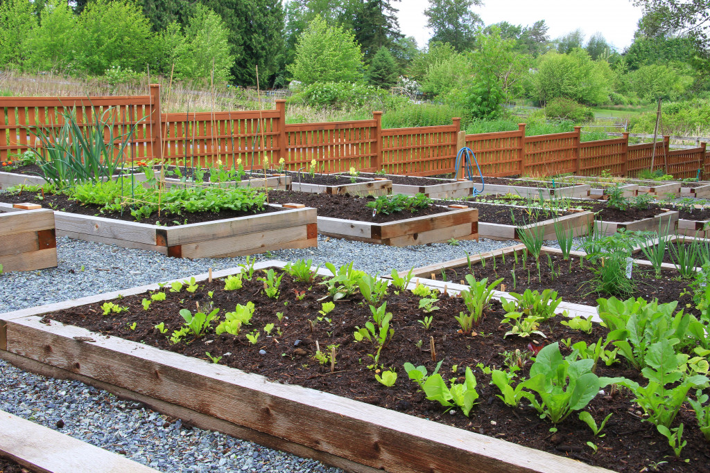 A well-made community container garden