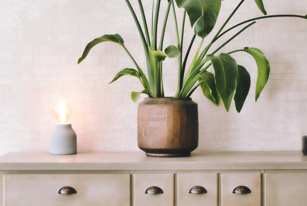 Indoor plant in a brown vase on top of a cupboard in a home.