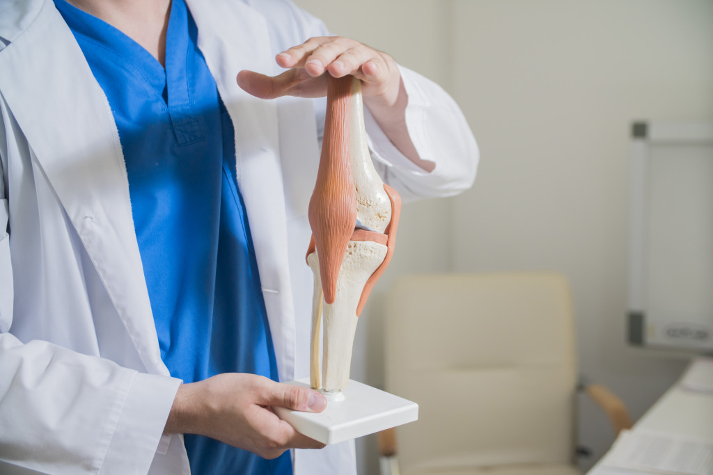 doctor holding a bone model