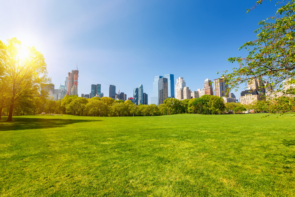 central park at sunny day in New York