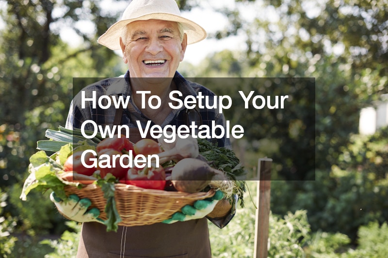 How To Setup Your Own Vegetable Garden